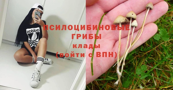 ПСИЛОЦИБИНОВЫЕ ГРИБЫ Абинск