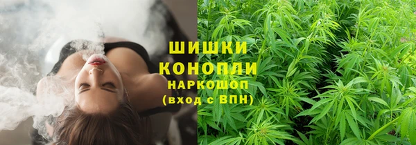 стаф Новокубанск