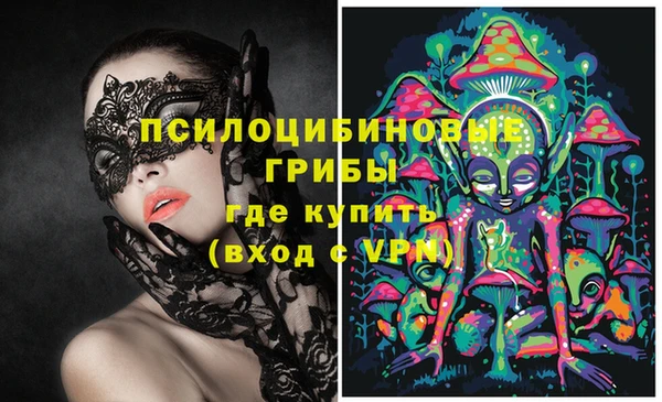 ПСИЛОЦИБИНОВЫЕ ГРИБЫ Абинск