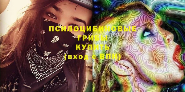 стаф Новокубанск