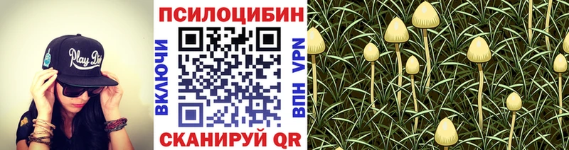 shop состав  omg ONION  Нариманов  Псилоцибиновые грибы прущие грибы 